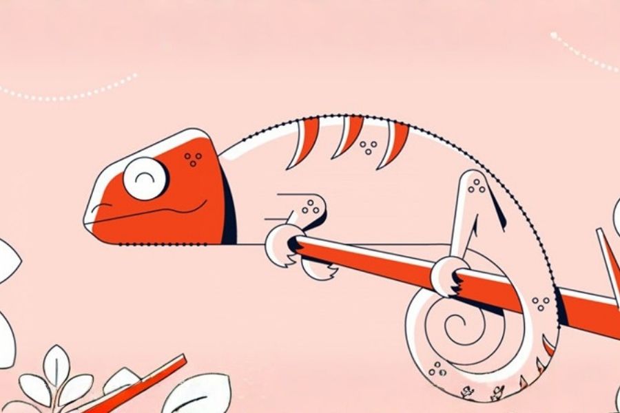 Nét phu thê và hiện tượng tắc kè hoa 