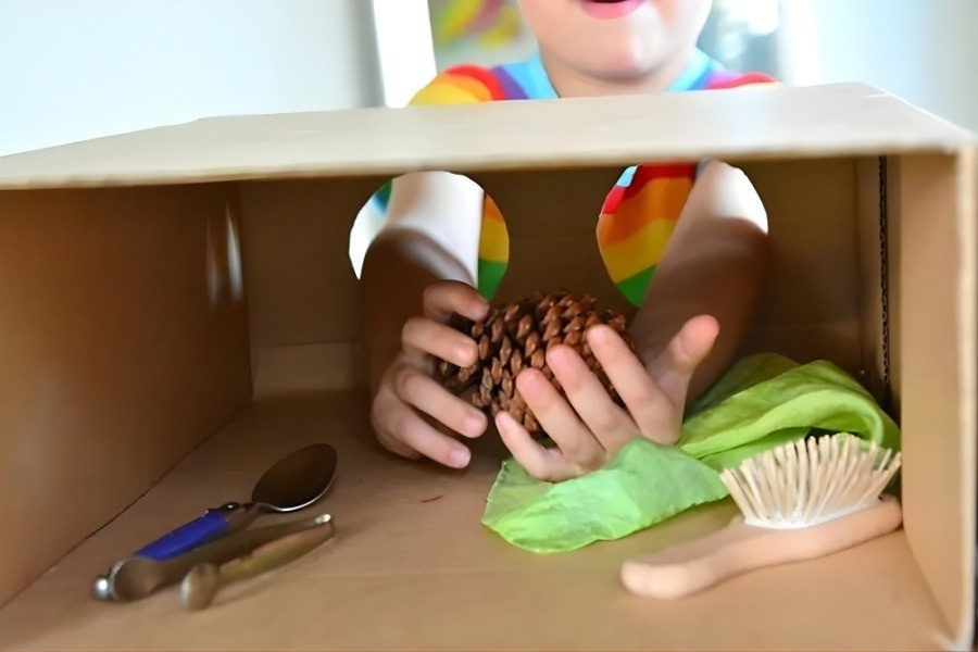 Trò chơi chiếc hộp bí ẩn